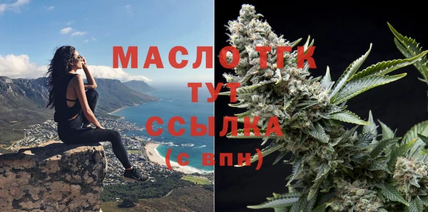тгк Нея