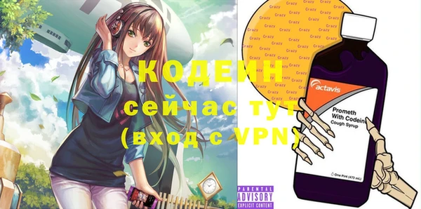 тгк Нея